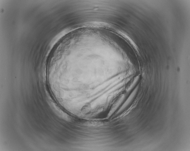 X0000081461083200701261932