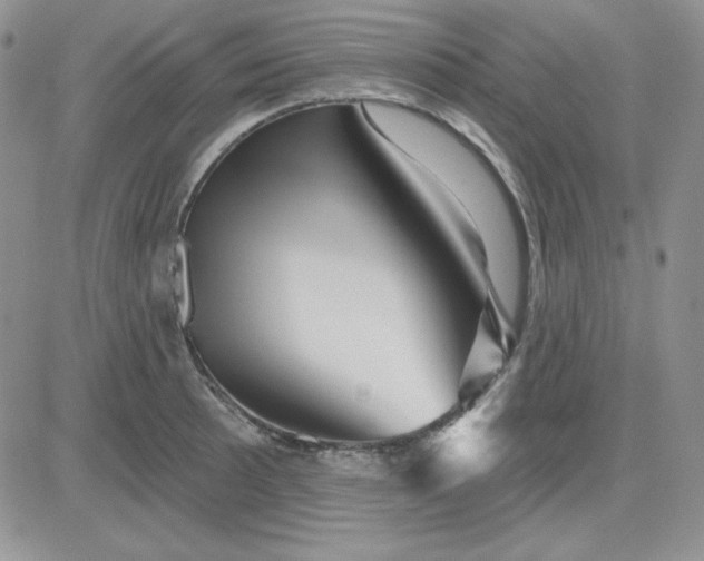 X0000081461089200701261932
