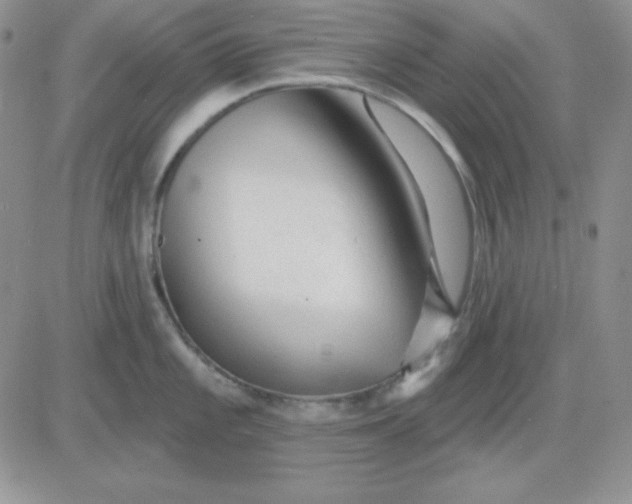 X0000081461101200701261931