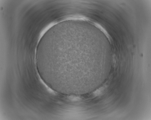 X0000081461103200701261931