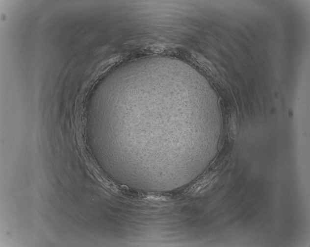 X0000081461105200701261931