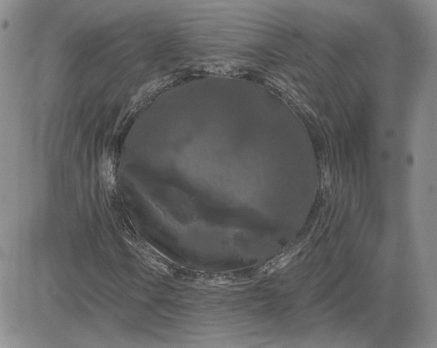 X0000081461106200701261931