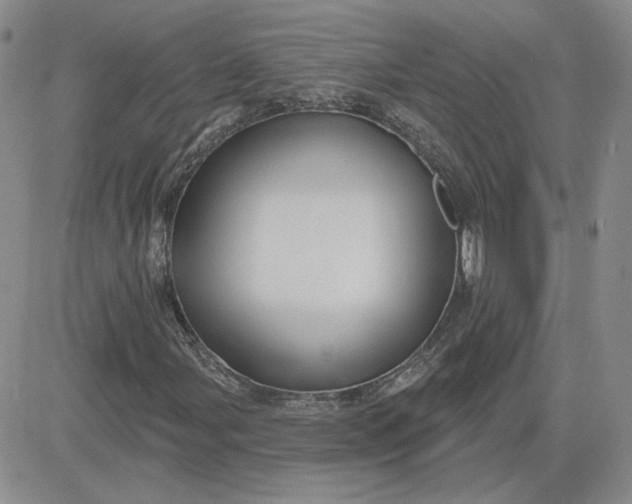 X0000081461107200701261931