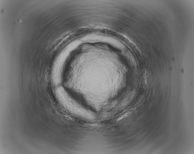 X0000081461110200701261931