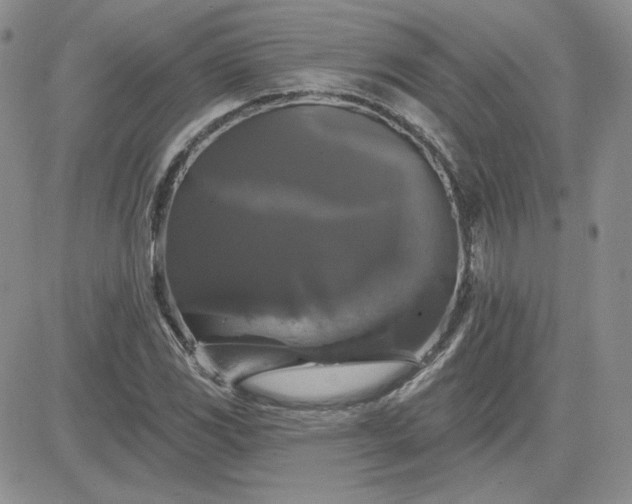 X0000081461117200701261931