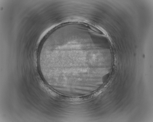 X0000081461120200701261931