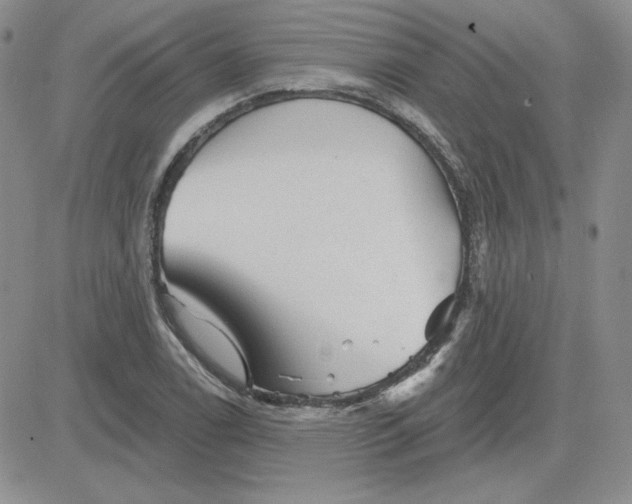 X0000081461122200701261931
