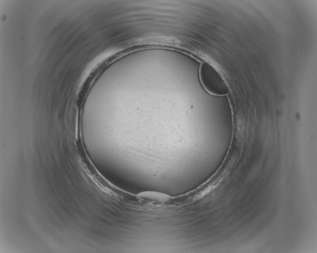 X0000081461123200701261931