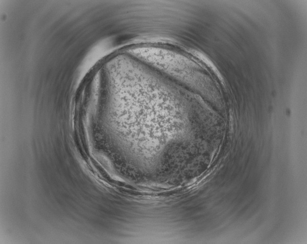 X0000081461124200701261931