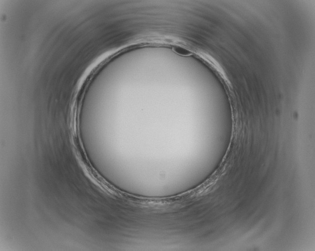X0000081461128200701261931