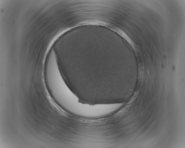 X0000081461132200701261931