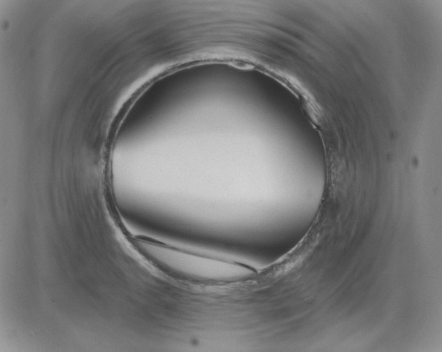 X0000081461134200701261931