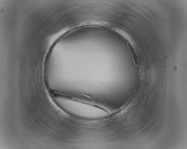 X0000081461135200701261931