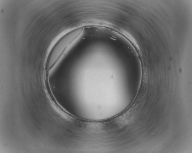 X0000081461136200701261931