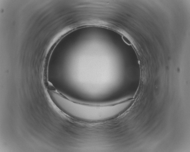 X0000081461139200701261931