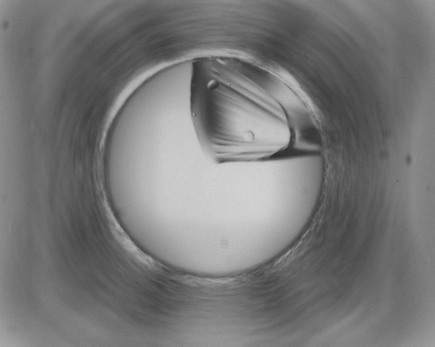 X0000081461140200701261931