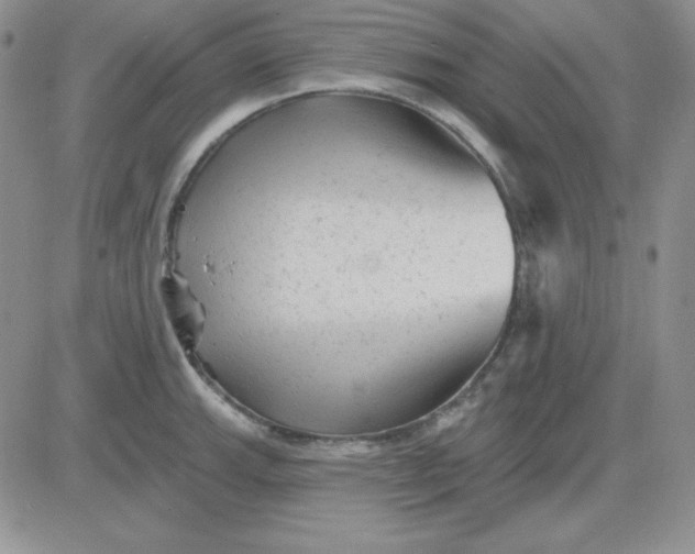 X0000081461143200701261931