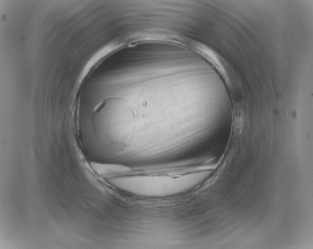 X0000081461146200701261931