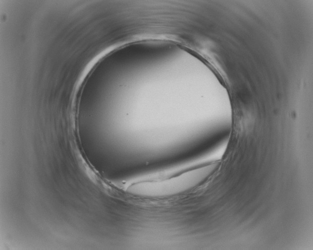 X0000081461148200701261931