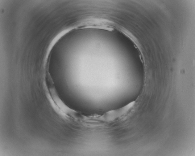 X0000081461152200701261931