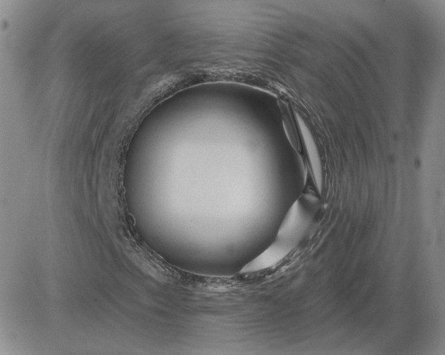 X0000081461153200701261931