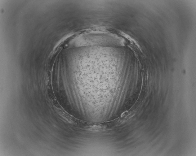 X0000081461160200701261930