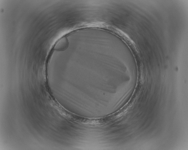X0000081461174200701261930
