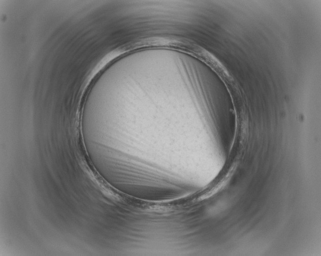 X0000081461178200701261930
