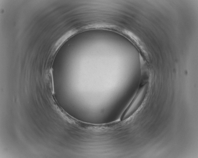 X0000081461185200701261930