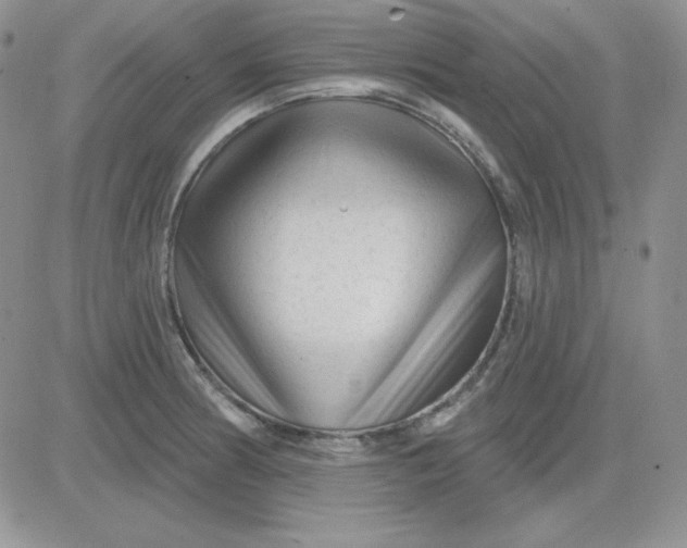 X0000081461186200701261930