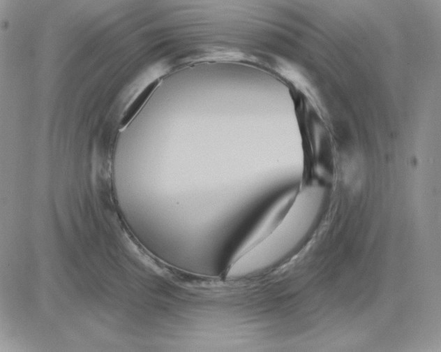 X0000081461193200701261930