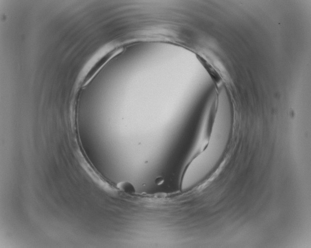 X0000081461196200701261930