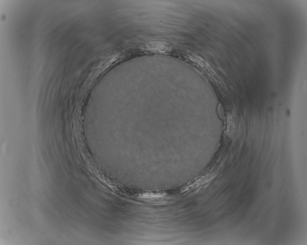 X0000081461201200701261929