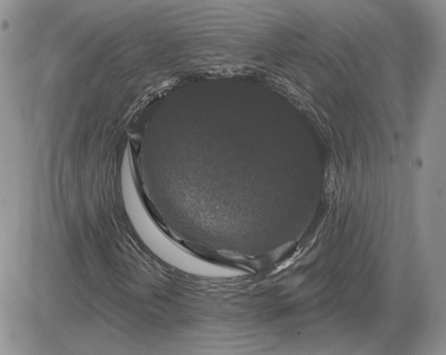 X0000081461202200701261929