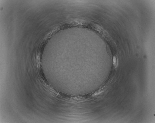 X0000081461203200701261929