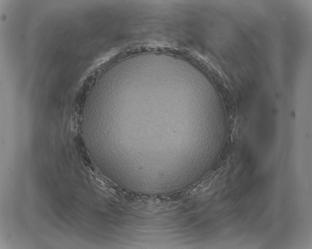 X0000081461207200701261929