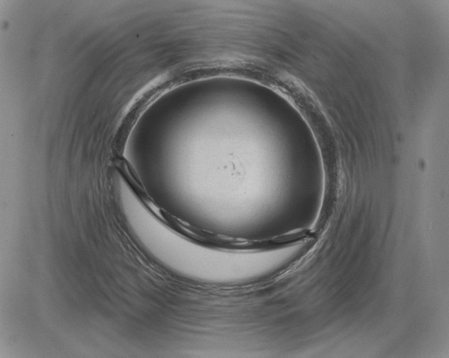 X0000081461210200701261929