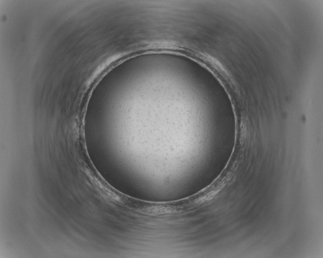 X0000081461212200701261929