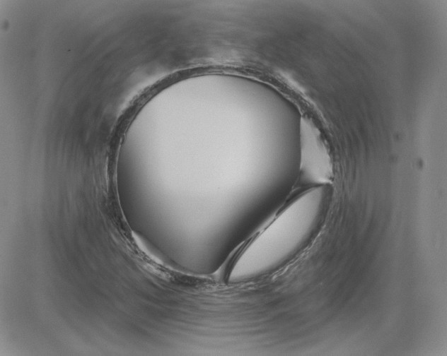 X0000081461214200701261929