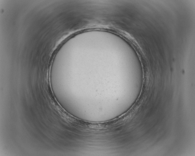 X0000081461220200701261929