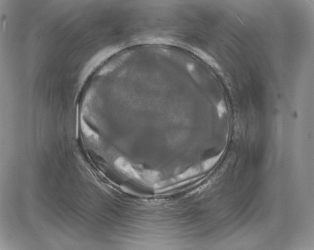 X0000081461223200701261929