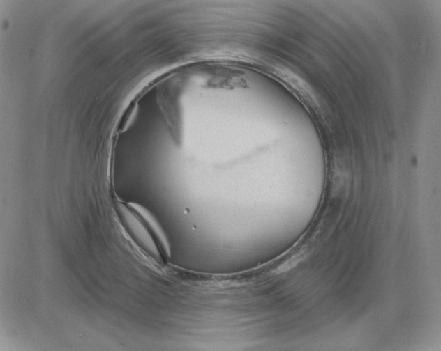 X0000081461228200701261929