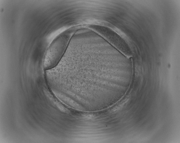 X0000081461230200701261929