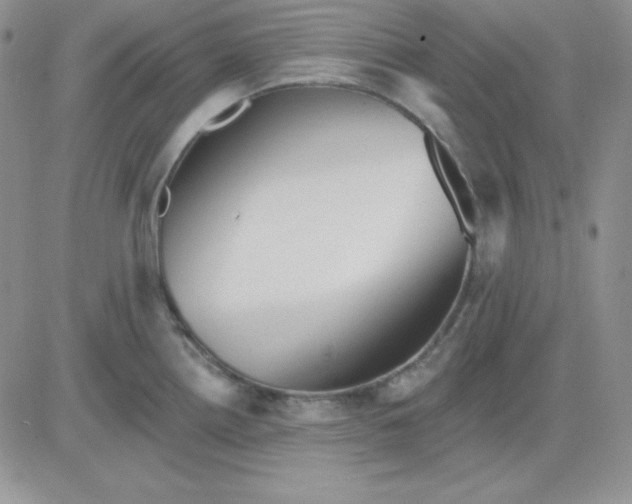 X0000081461242200701261930