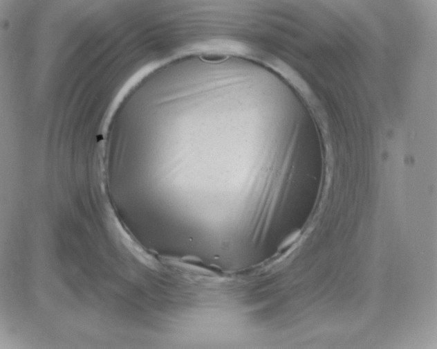 X0000081461248200701261930