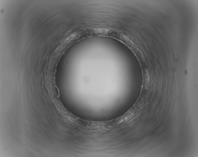 X0000081461249200701261929