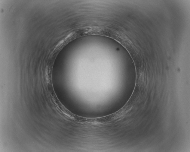 X0000081461250200701261929