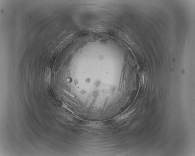 X0000081461251200701261929