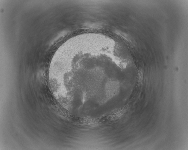 X0000081461254200701261929