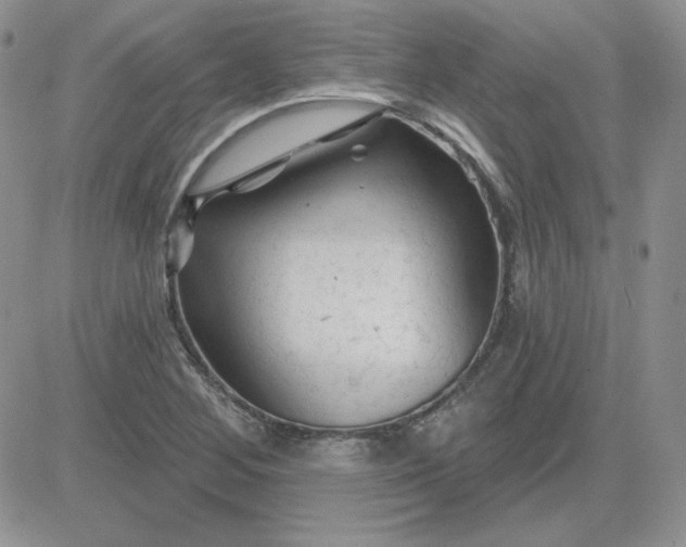 X0000081461268200701261929